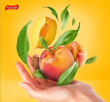 تبلیغات دیجیتال مارکتینگ